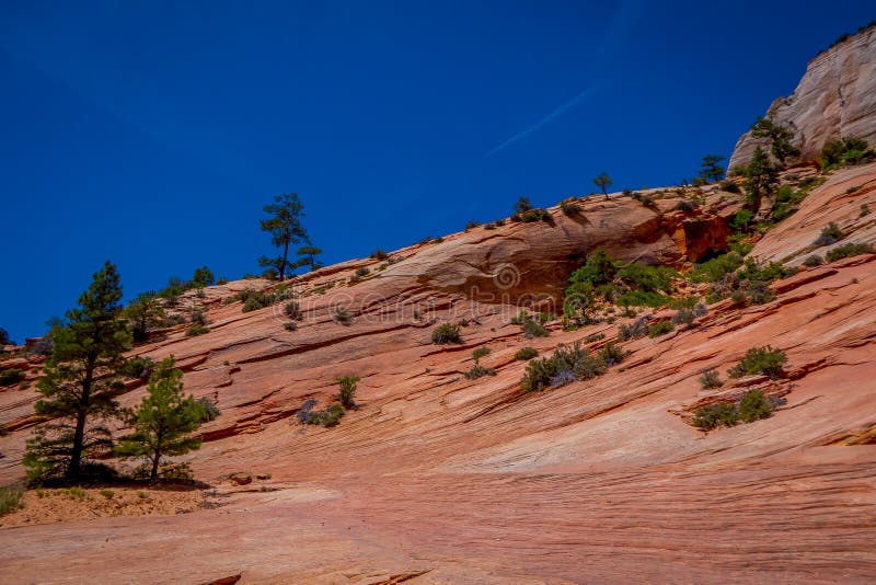 Nahaufnahme von Berglandschaft im Tal in Zion National Park, Utah lizenzfreie stockfotografie Nahaufnahme von Berglandschaft im Tal in Zion National Park, Utah lizenzfreie stockfotografie