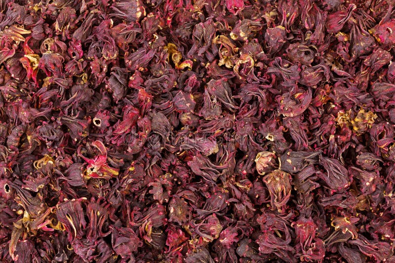 Nahaufnahmebeschaffenheit getrockneten Roselle-Hibiscus blüht in dunkelroter Co
