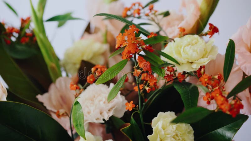 Nahaufnahmeblumengesteck Blumen in einem Glasvase Frau, die frische Blumen auswählt, um schönen Blumenstrauß im Vase herzustellen