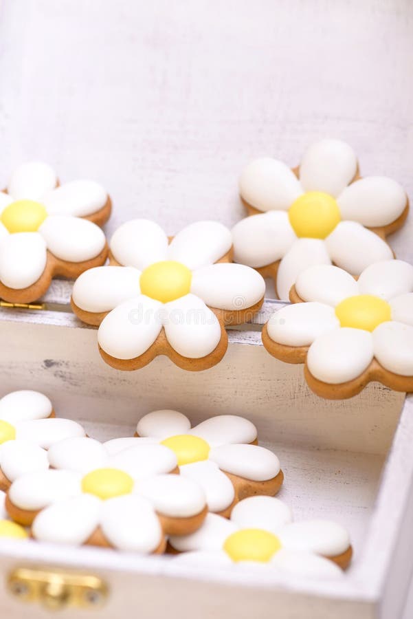 Nahaufnahmelebkuchenplätzchen in Form der Kamille stockfotos Nahaufnahmelebkuchenplätzchen in Form der Kamille stockfotos