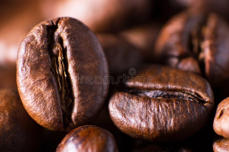 Nahaufnahmemakro ein Gruppe briet braunen oder schwarzen Kaffeebohnenhintergrund lizenzfreie stockbilder Nahaufnahmemakro ein Gruppe briet braunen oder schwarzen Kaffeebohnenhintergrund lizenzfreie stockbilder