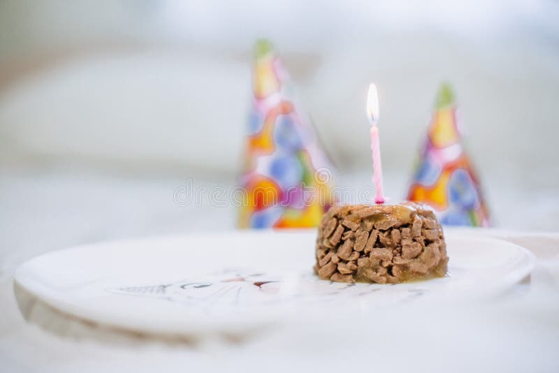 Nahrung- für Haustierekuchen für Katzengeburtstag stockfotografie Nahrung- für Haustierekuchen für Katzengeburtstag stockfotografie
