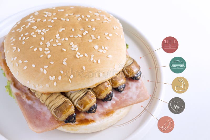 Nahrungsmittelinsekten: Wurmkäfer des Scarabäus-Käfers für das Essen als Nahrungsmittel im Brotburger auf Platte mit Medienikonen stockfotografie Nahrungsmittelinsekten: Wurmkäfer des Scarabäus-Käfers für das Essen als Nahrungsmittel im Brotburger auf Platte mit Medienikonen stockfotografie