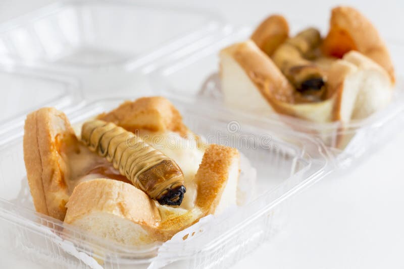 Nahrungsmittelinsekten: Wurmkäfer für frittiert als Nahrungsmittel im Brot stockfotos Nahrungsmittelinsekten: Wurmkäfer für frittiert als Nahrungsmittel im Brot stockfotos