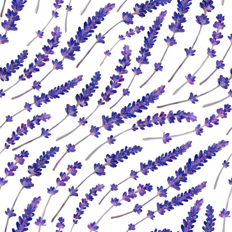 Nahtlose Beschaffenheit mit Lavendel In den lila Farben stock abbildung Nahtlose Beschaffenheit mit Lavendel In den lila Farben stock abbildung