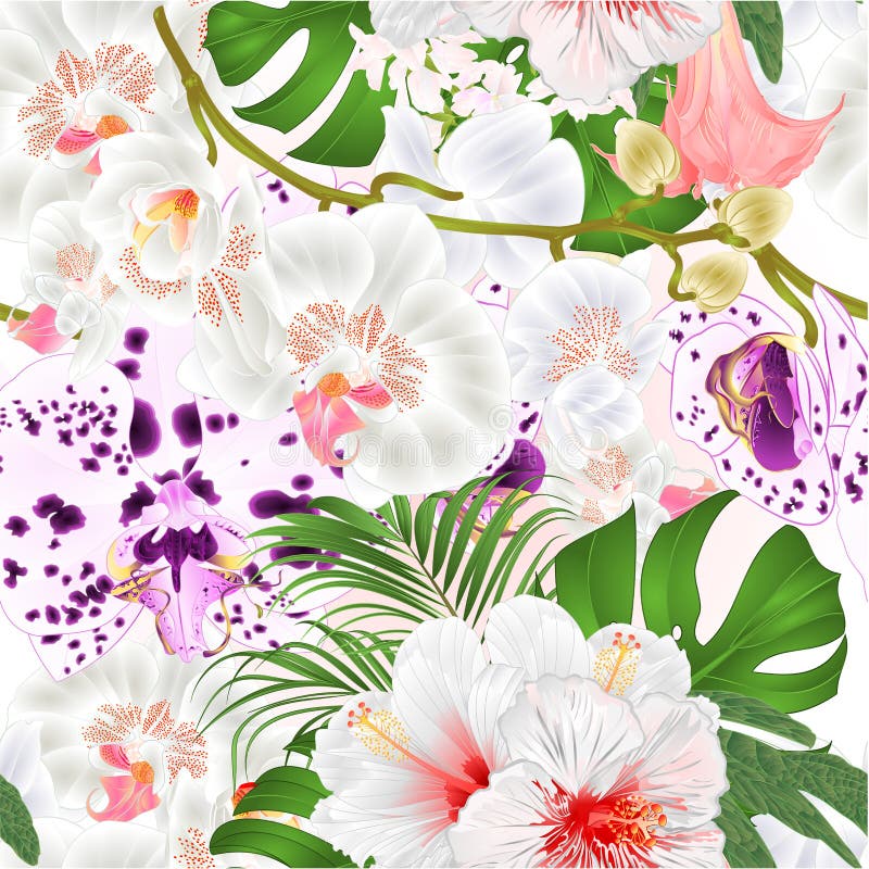 Nahtloser Stamm Beschaffenheitsniederlassungsorchideenblumen Phalaenopsis tropische Betriebsund botanischer Kranke des Knospen- u lizenzfreie abbildung Nahtloser Stamm Beschaffenheitsniederlassungsorchideenblumen Phalaenopsis tropische Betriebsund botanischer Kranke des Knospen- u lizenzfreie abbildung