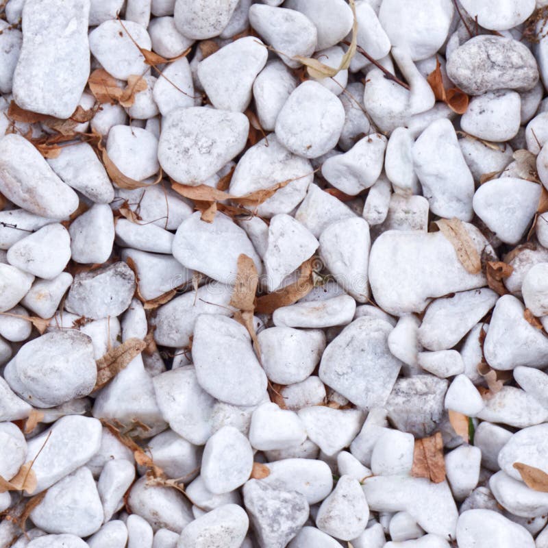 Nahtloses Fotomuster von kleinen weißen Steinen mit altem Herbstlaub lizenzfreies stockfoto