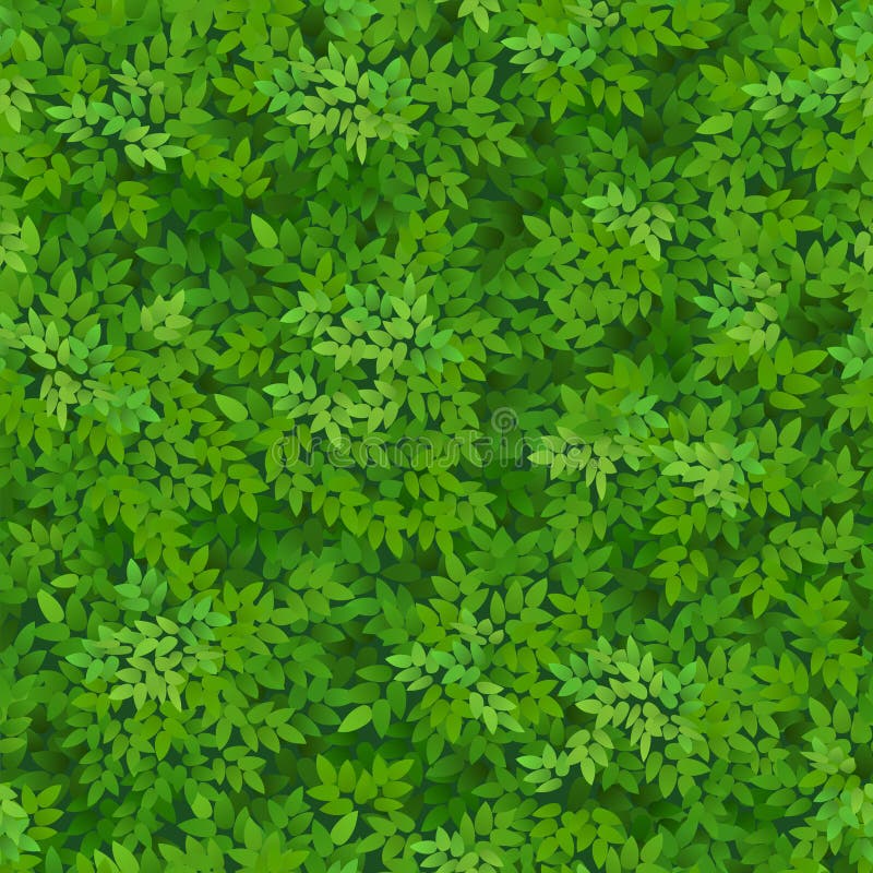 Nahtloses grünes Laubmuster Grün lässt Hintergrund Blumensträuße der Rosen vektor abbildung Nahtloses grünes Laubmuster Grün lässt Hintergrund Blumensträuße der Rosen vektor abbildung