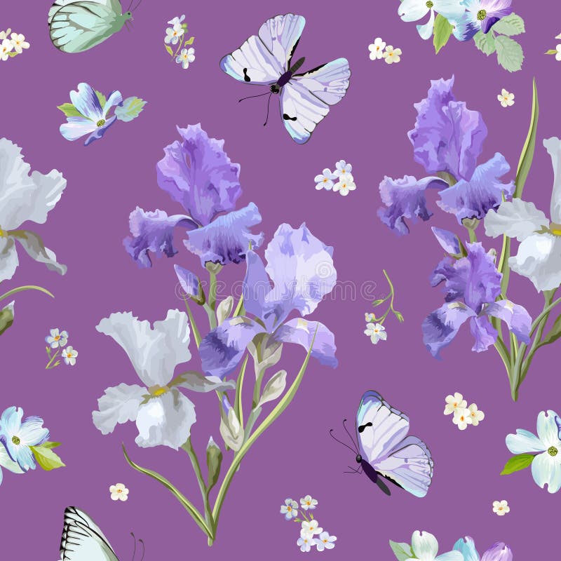 Nahtloses mit Blumenmuster mit purpurroter blühender Iris Flowers und fliegenden Schmetterlingen Aquarell-Natur-Hintergrund für G vektor abbildung Nahtloses mit Blumenmuster mit purpurroter blühender Iris Flowers und fliegenden Schmetterlingen Aquarell-Natur-Hintergrund für G vektor abbildung