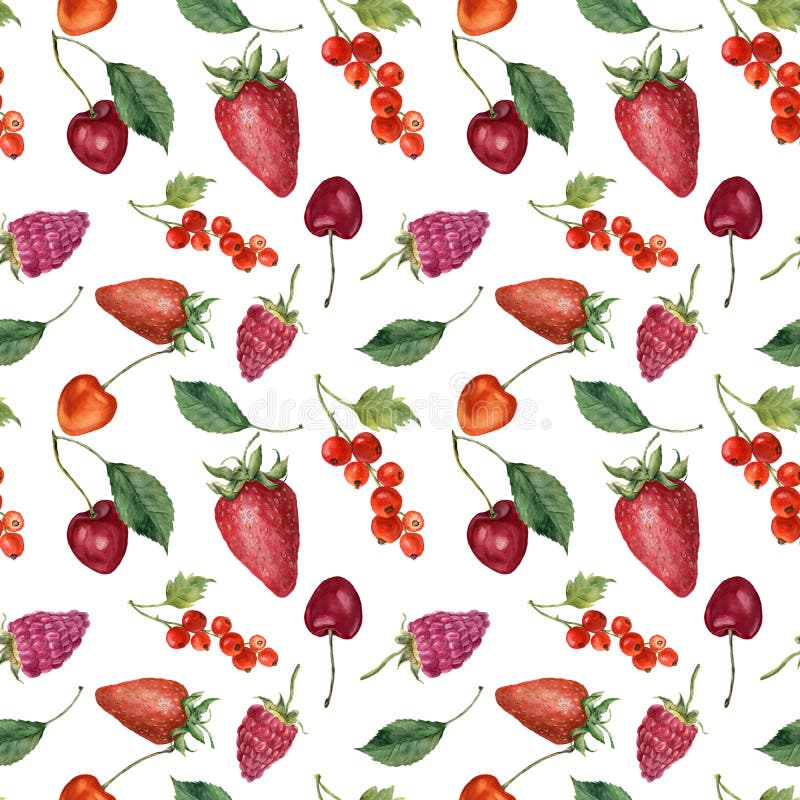 Nahtloses Muster des Sommerbeeren- und -fruchtaquarelllebensmittels Aquarellerdbeere, Kirsche, rote Johannisbeere, Himbeere und stock abbildung Nahtloses Muster des Sommerbeeren- und -fruchtaquarelllebensmittels Aquarellerdbeere, Kirsche, rote Johannisbeere, Himbeere und stock abbildung