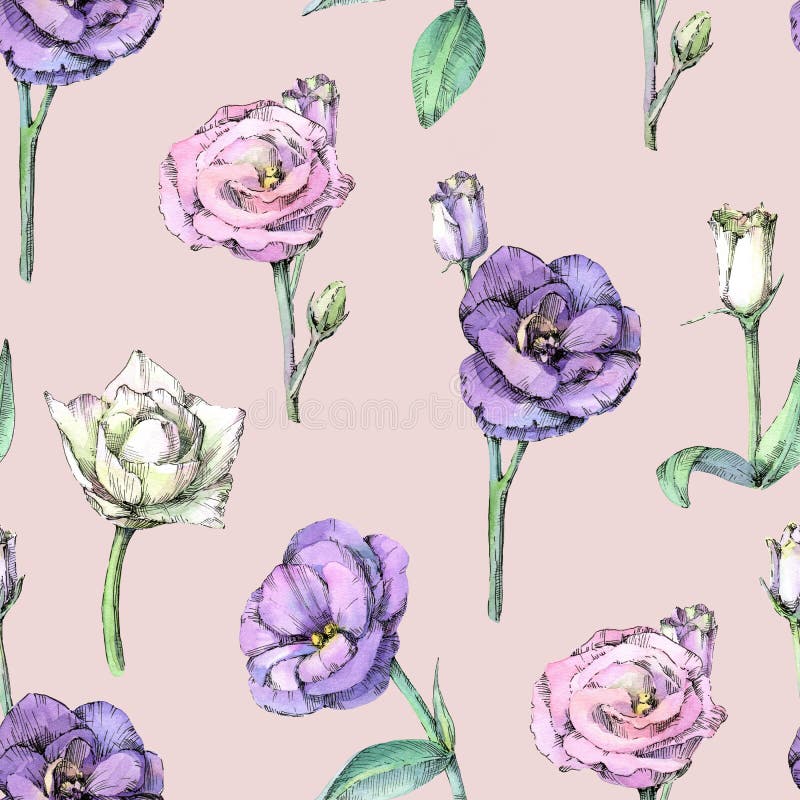 Nahtloses Muster mit Eustomblüten auf rosa Hintergrund. stock abbildung