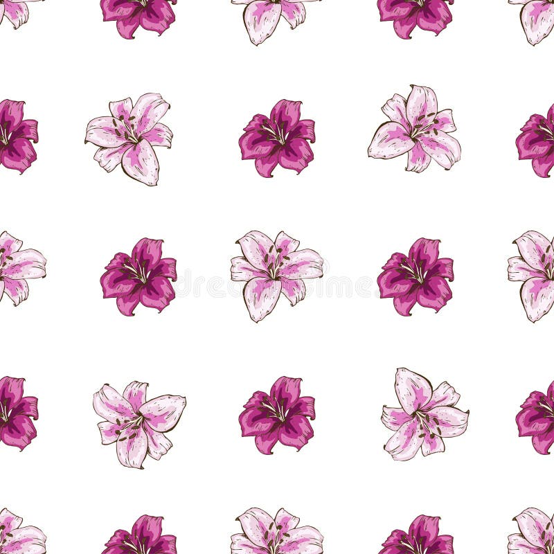 Nahtloses Muster mit rosa Lilien blühen auf weißem Hintergrund Vektorsatz des Blühens mit Blumen für Heiratseinladungen und des G lizenzfreie abbildung Nahtloses Muster mit rosa Lilien blühen auf weißem Hintergrund Vektorsatz des Blühens mit Blumen für Heiratseinladungen und des G lizenzfreie abbildung