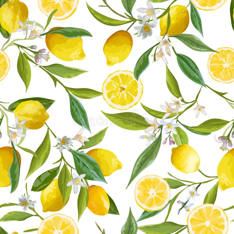 Nahtloses Muster Zitrone trägt Hintergrund Früchte Gelbe Blumen, Basisrecheneinheit, Inneres mit Tropfen
