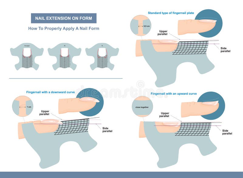 Nail Extension on Form Hoe een Nail-formulier correct toe te passen Professionele cursus Vector Nail Extension on Form Hoe een Nail-formulier correct toe te passen Professionele cursus Vector