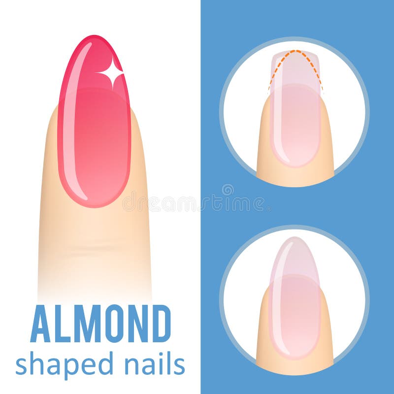 Nail shape square stock vector. Illustration of color - 98207939