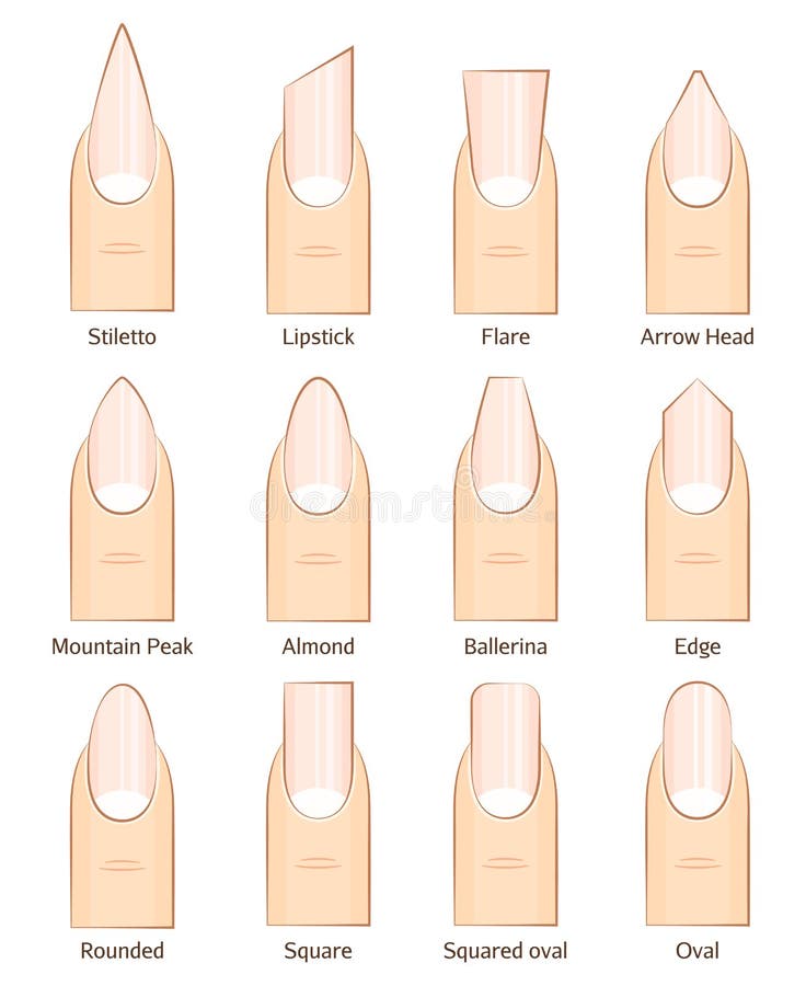 Different nail shapes Royalty Free Vector Image