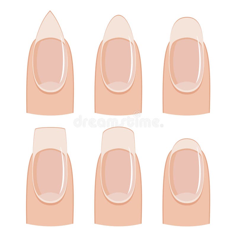 Top 5 Most Popular Acrylic Nail Shapes, According to Manicurists – Nghia  Nippers USA