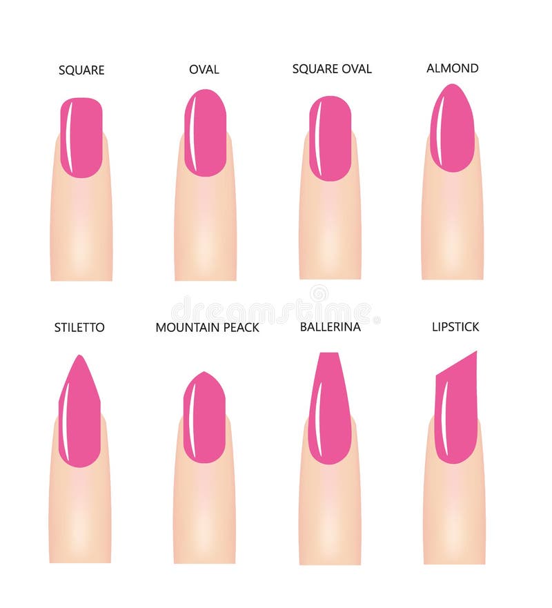Nail Shapes Stock Illustrations – 683 Nail Shapes Stock Illustrations, Vectors & Clipart - Dreamstime Nail Shapes Stock Illustrations – 683 Nail Shapes Stock Illustrations, Vectors & Clipart - Dreamstime