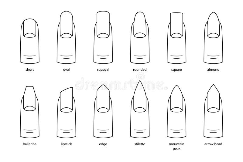 Nail Shapes Stock Illustrations – 683 Nail Shapes Stock Illustrations, Vectors & Clipart - Dreamstime Nail Shapes Stock Illustrations – 683 Nail Shapes Stock Illustrations, Vectors & Clipart - Dreamstime