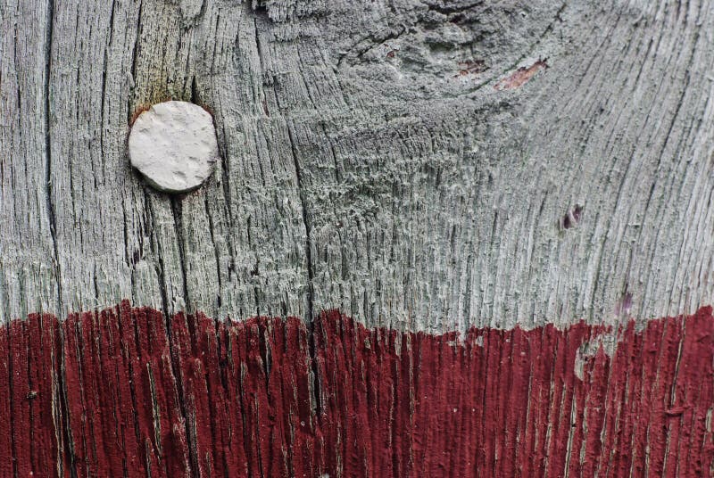 Nail in wall stock image. Image of rotten, rust, texture 5891021