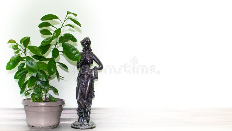 Nain orange développé dans des pots dans la maison statue d'os L'espace pour le texte à l'arrière-plan blanc photos libres de droits Nain orange développé dans des pots dans la maison statue d'os L'espace pour le texte à l'arrière-plan blanc photos libres de droits