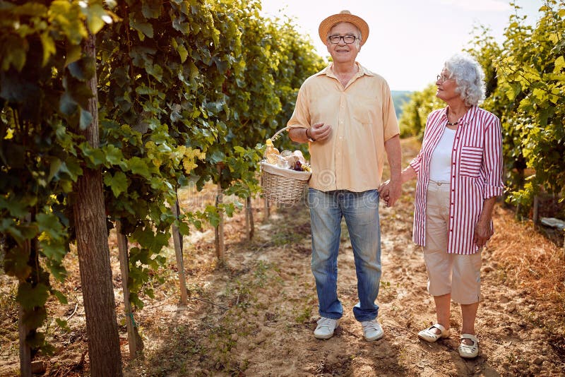 Najaarswijngaarden Wijn en druiven Gezinstraditie seniorpaar met druivendraf royalty-vrije stock foto Najaarswijngaarden Wijn en druiven Gezinstraditie seniorpaar met druivendraf royalty-vrije stock foto
