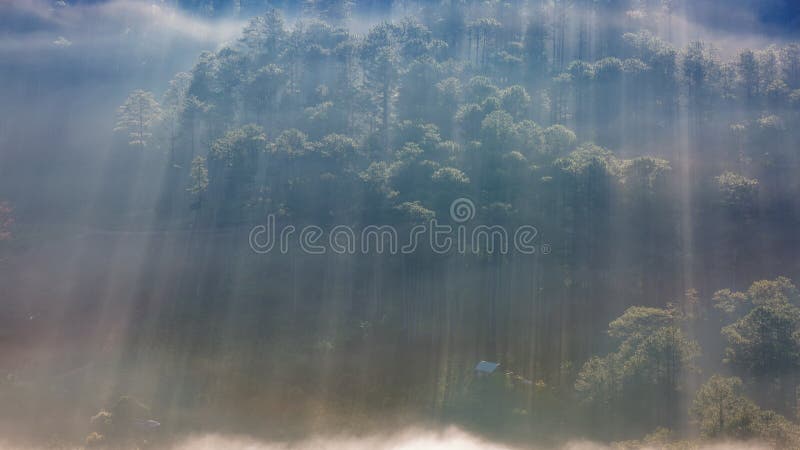 Najlepszy fotografia natura z słońce promieniami, światło słoneczne w lesie i mali domy przy jutrzenkową częścią 8, zdjęcie royalty free Najlepszy fotografia natura z słońce promieniami, światło słoneczne w lesie i mali domy przy jutrzenkową częścią 8, zdjęcie royalty free