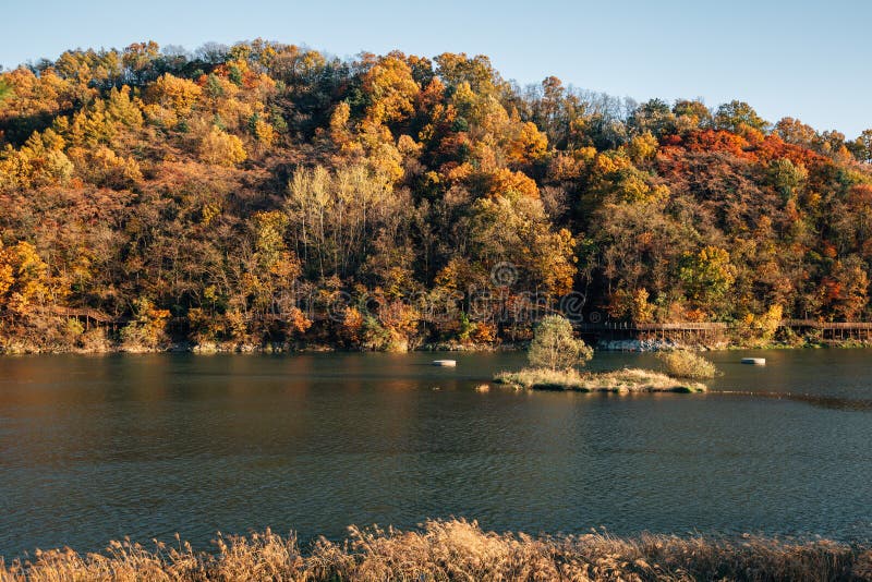 Nakdong river and autumn mountain in Andong, Korea royalty free stock photos