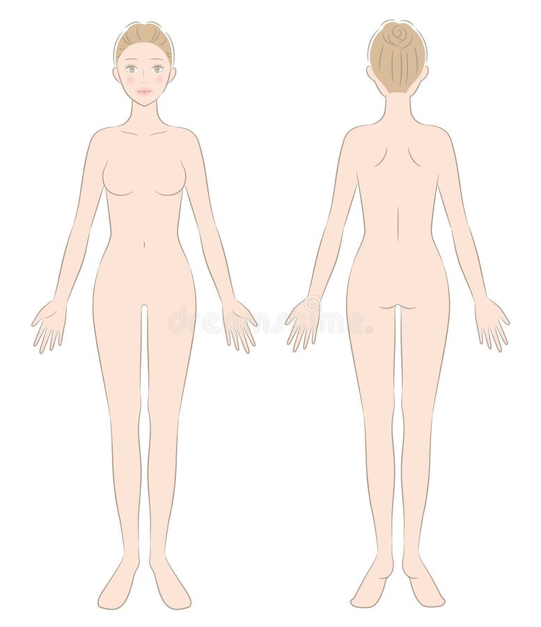 Naked Woman Full Body Front and Back Illustration. Beauty and Health Care  Concept Stock Vector - Illustration of beauty, care: 226040185