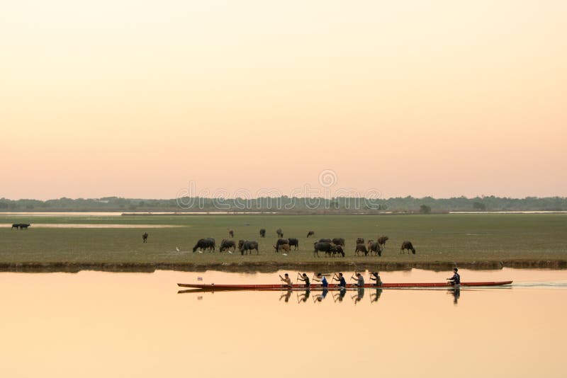 NAKHON PHANOM, TAILANDIA - 4 de noviembre de 2018: Entrenamiento para remar la raza Tailandia del equipo fotos de archivo NAKHON PHANOM, TAILANDIA - 4 de noviembre de 2018: Entrenamiento para remar la raza Tailandia del equipo fotos de archivo