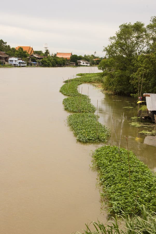 Floden Nakornchaisri arkivfoton
