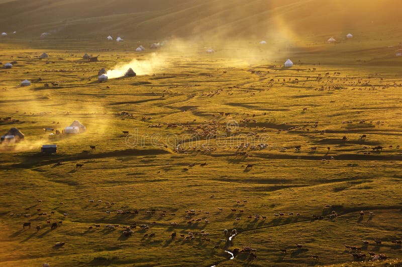 Nalati grassland at sunset