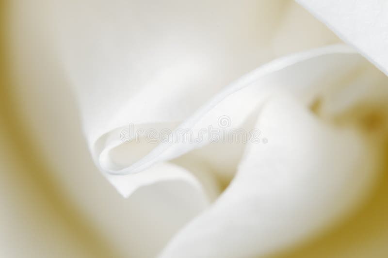 Nam bloemfragment toe royalty-vrije stock foto's