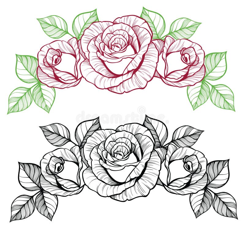 Rose flower vignette. Color and black and white line art. Rose flower vignette. Color and black and white line art.