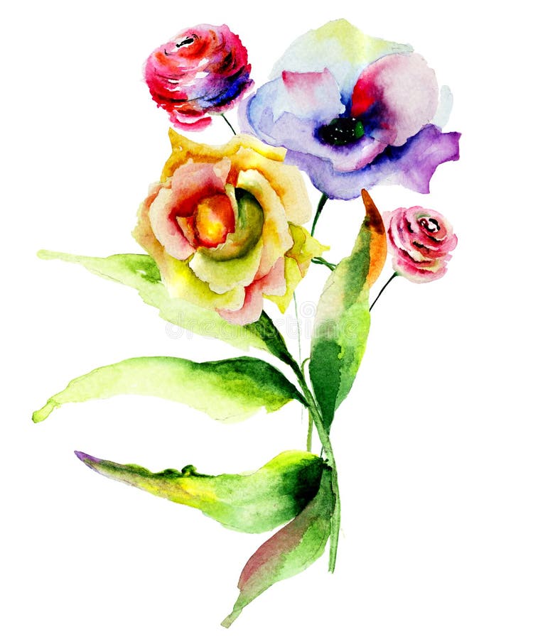 Original watercolor illustration with Rose and Poppy flowers. Original watercolor illustration with Rose and Poppy flowers