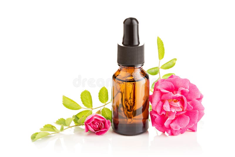 Rose essential oil in glass bottle with dropper on white background. Rose essential oil in glass bottle with dropper on white background