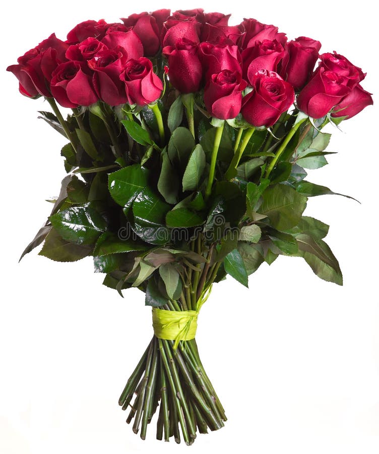 Boeket rozen geïsoleerd stock fotografie