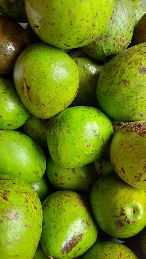 The Name of this Fruit is Avocado Butter, the Taste of the Fruit is