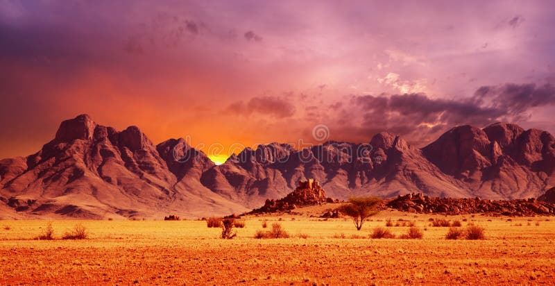 namib de désert photo stock namib de désert photo stock