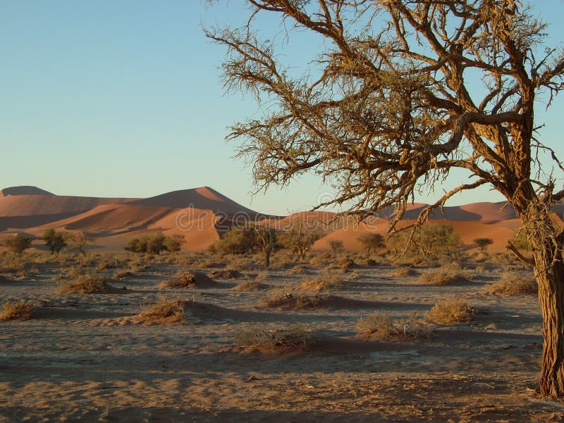 Namib desert 04