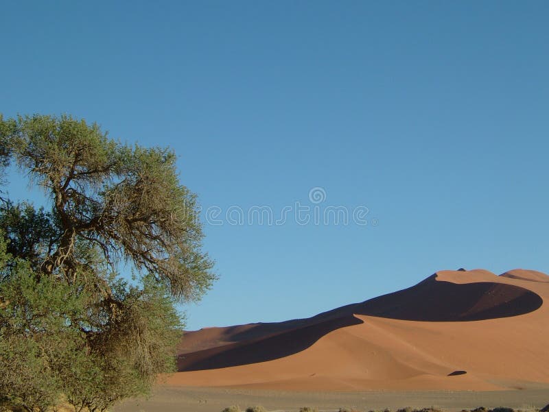 Namib desert 05