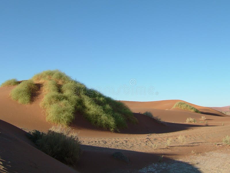 Namib desert 0è
