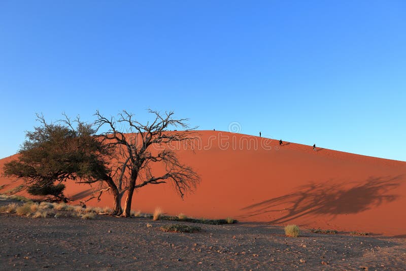 Namib öken med Deadvleien och Sossusvleien i Namibia royaltyfria bilder Namib öken med Deadvleien och Sossusvleien i Namibia royaltyfria bilder