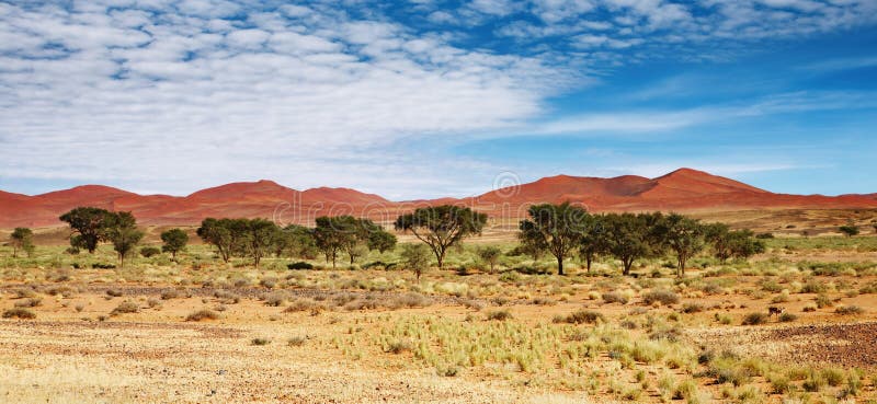 Dunes of Namib Desert, Sossufley, Namibia. Dunes of Namib Desert, Sossufley, Namibia