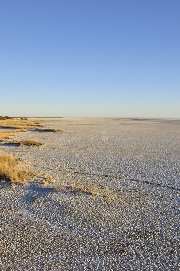 Namibia: At the boarder of the Etosha salt pans stock image