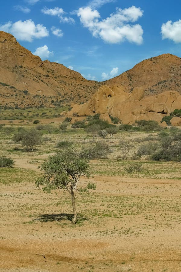 Namibia, Landscape in Damaraland Stock Photo Image of adventure, landscape 274566418