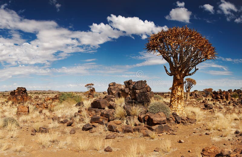 Namibian landscape royalty free stock photo
