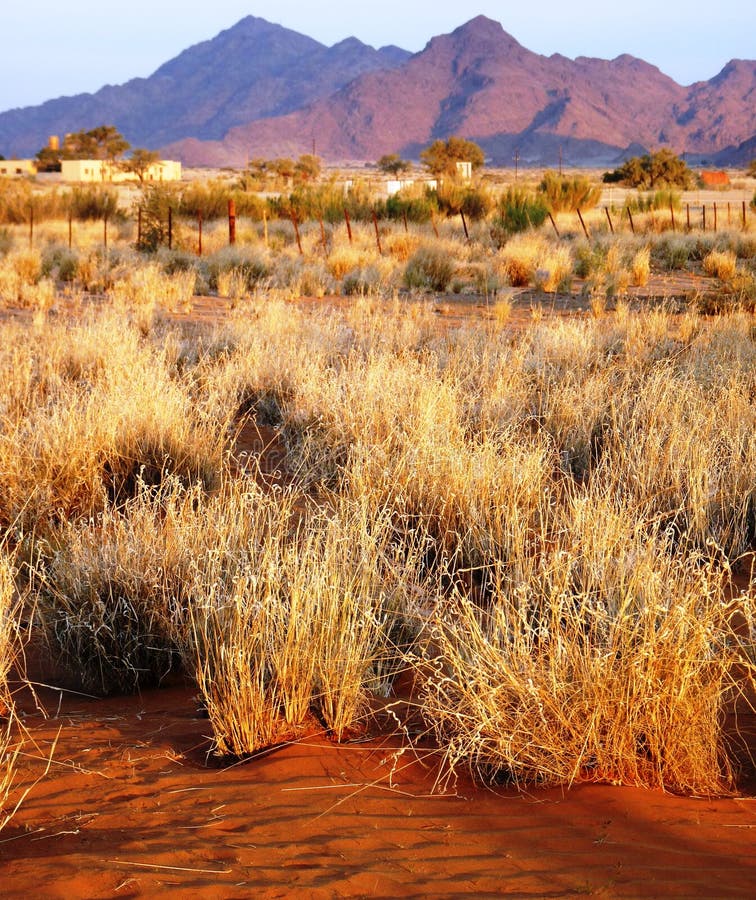 Namibian sand dunes