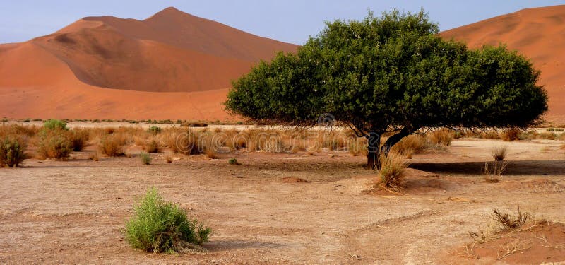 Namibian sand dunes