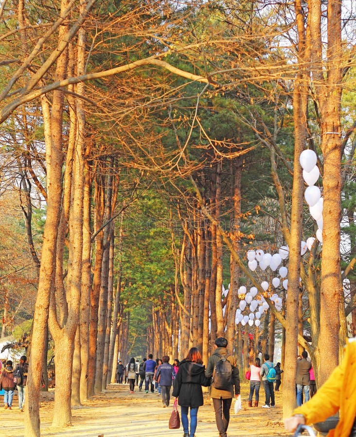 NAMISEOM - 26 DE NOVIEMBRE: Los turistas visitan al coreano tradicional c imágenes de archivo libres de regalías NAMISEOM - 26 DE NOVIEMBRE: Los turistas visitan al coreano tradicional c imágenes de archivo libres de regalías